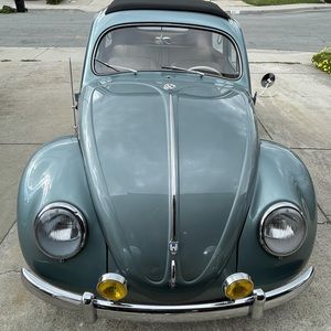 Meet your Posher, Ernest